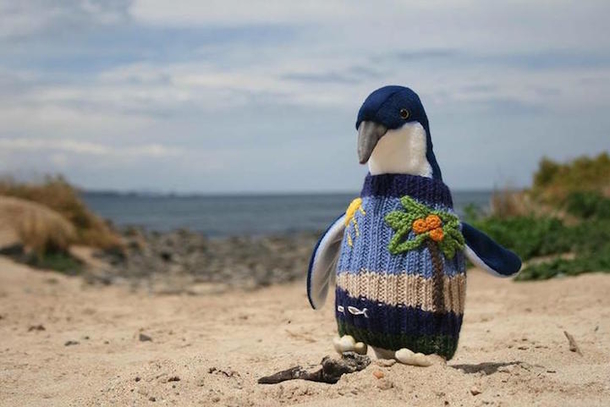 Inspiring: 109-year-old man uses his last years knitting tiny sweaters for injured penguins - picture 4