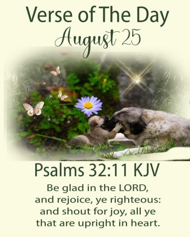 Inspiring August 25 Quotes, Images, Pictures And Sayings - picture 10