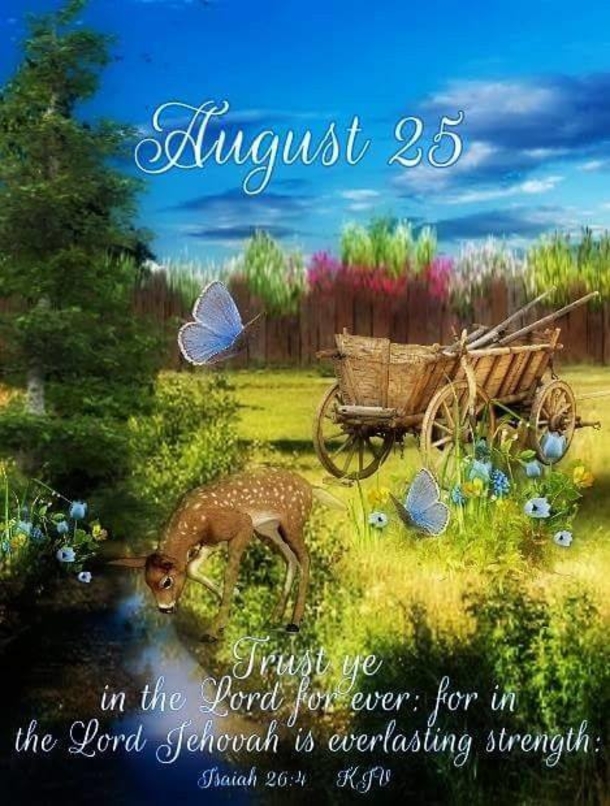 Inspiring August 25 Quotes, Images, Pictures And Sayings - picture 9