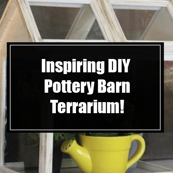 Inspiring DIY Pottery Barn Terrarium!