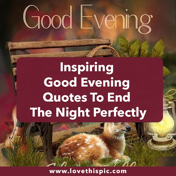 Inspiring Good Evening Quotes To End The Night Perfectly