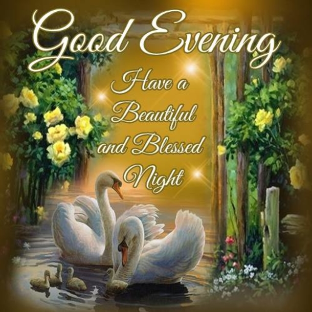 Inspiring Good Evening Quotes To End The Night Perfectly - picture 11