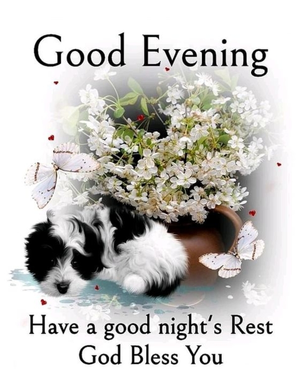 Inspiring Good Evening Quotes To End The Night Perfectly - picture 12
