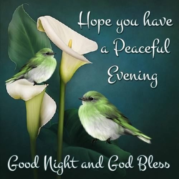 Inspiring Good Evening Quotes To End The Night Perfectly - picture 2