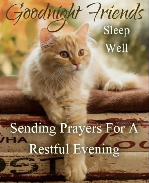 Inspiring Good Evening Quotes To End The Night Perfectly - picture 4