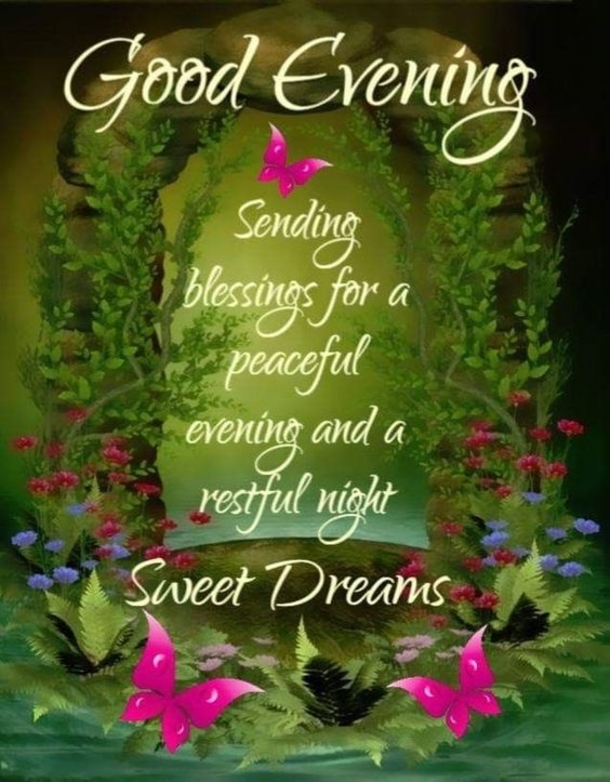 Inspiring Good Evening Quotes To End The Night Perfectly - picture 5