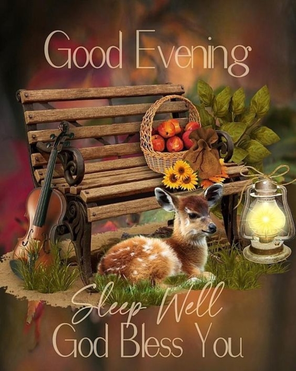 Inspiring Good Evening Quotes To End The Night Perfectly - picture 9