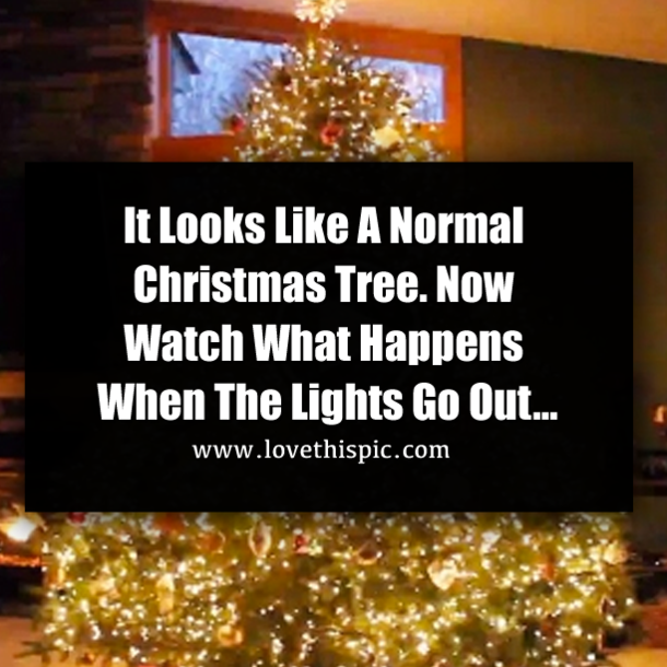 It Looks Like A Normal Christmas Tree. Now Watch What Happens When The Lights Go Out…