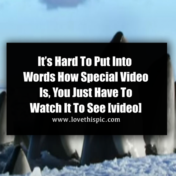 It’s Hard To Put Into Words How Special Video Is, You Just Have To Watch It To See [video]