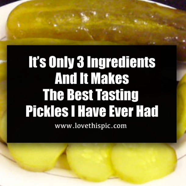 It’s Only 3 Ingredients And It Makes The Best Tasting Pickles I Have Ever Had