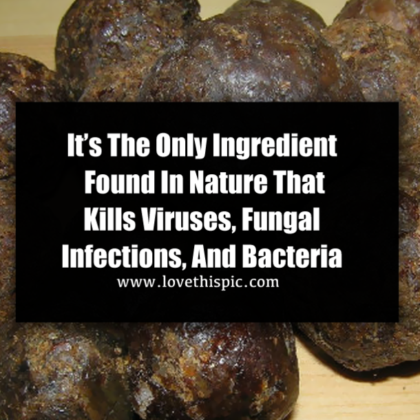 It’s The Only Ingredient Found In Nature That Kills Viruses, Fungal Infections, And Bacteria