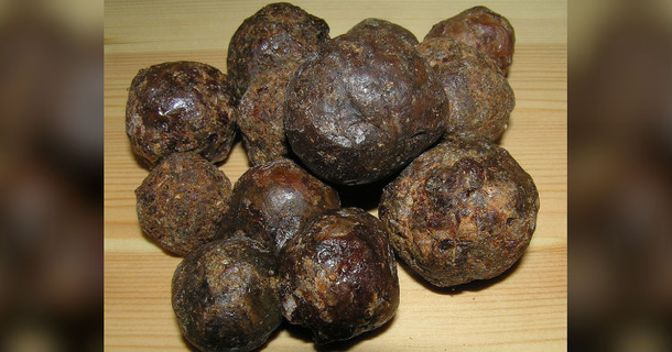 It’s The Only Ingredient Found In Nature That Kills Viruses, Fungal Infections, And Bacteria - picture 2