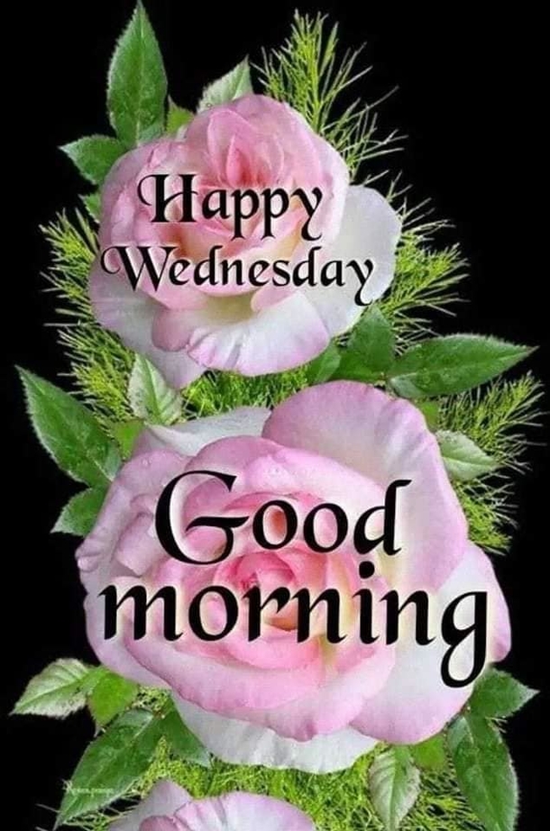 It's Wednesday! Enjoy These 10 Happy Wednesday Blessings To Make This Day Wonderful - picture 11