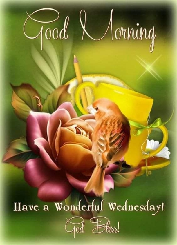 It's Wednesday! Enjoy These 10 Happy Wednesday Blessings To Make This Day Wonderful - picture 5
