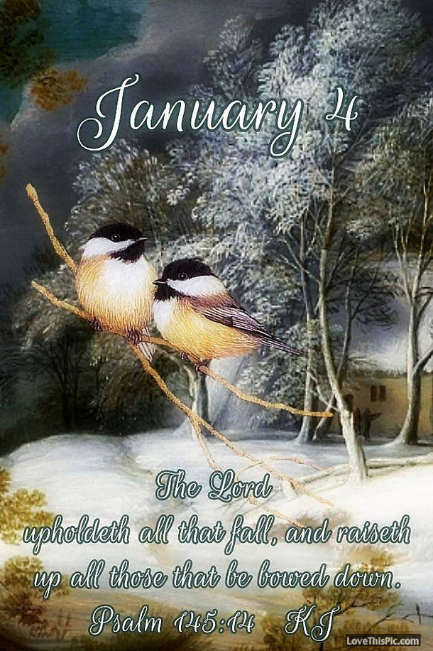 January 4 Quotes, Sayings And Messages For The Day - picture 11