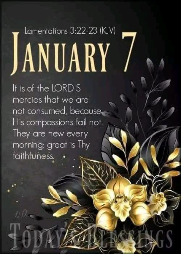 January 7 Quotes And Sayings For The Day - picture 10