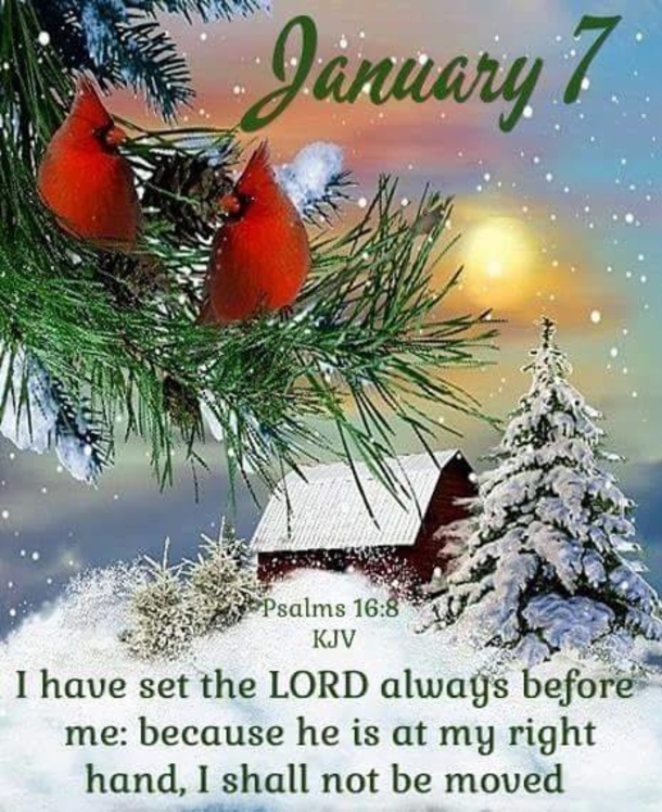 January 7 Quotes And Sayings For The Day - picture 2