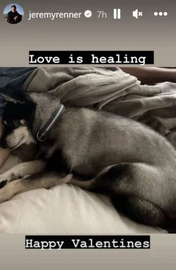 Jeremy Renner shares pictures of his precious, loyal ‘protector’ dog by his side after accident - picture 4