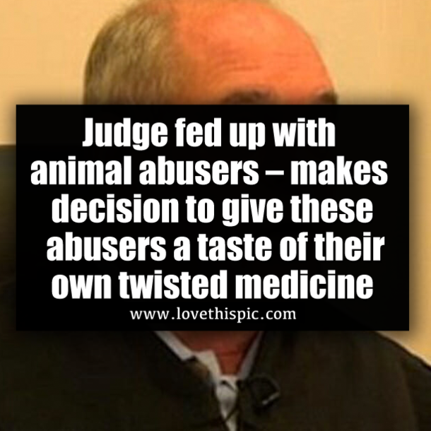 Judge fed up with animal abusers – makes decision to give these abusers a taste of their own twisted medicine