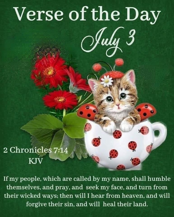 July 3 Quotes, Sayings And Images For The Day - picture 5