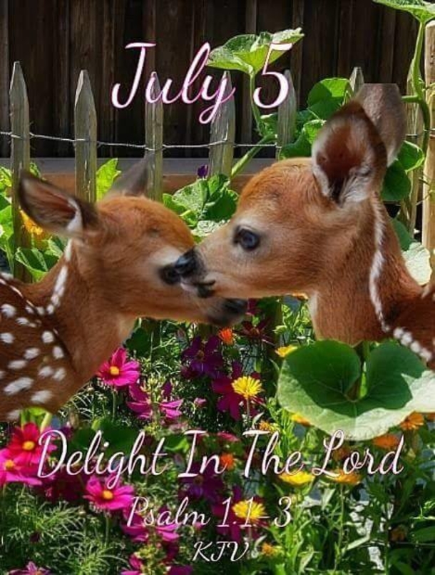 July 5 Quotes, Sayings And Images For The Day - picture 2