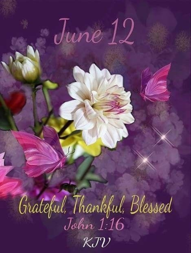 June 12 Blessings, Quotes And Images For The Day - picture 10