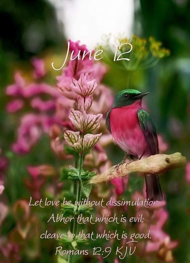 June 12 Blessings, Quotes And Images For The Day - picture 8