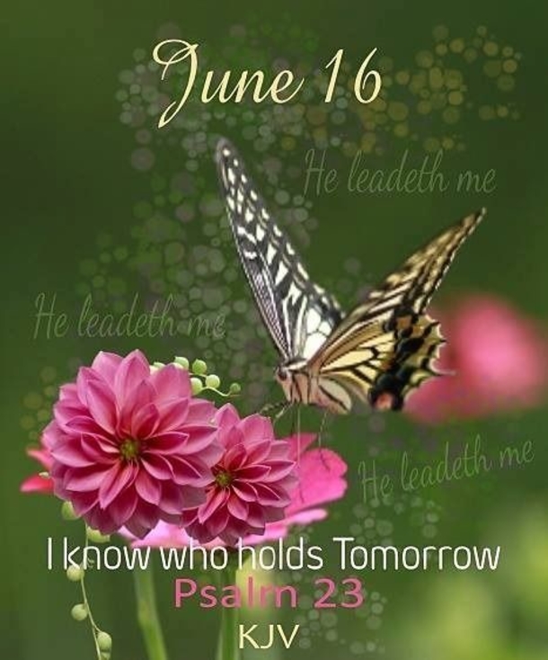 June 16 Quotes, Sayings And Images - picture 2