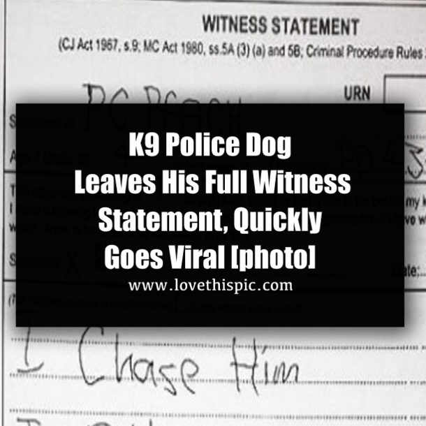 K9 Police Dog Leaves His Full Witness Statement, Quickly Goes Viral [photo]