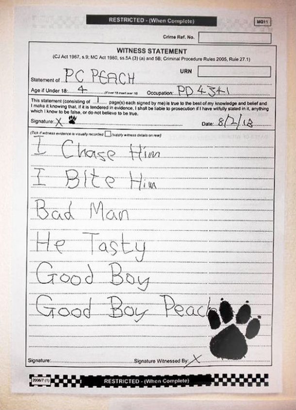 K9 Police Dog Leaves His Full Witness Statement, Quickly Goes Viral [photo] - picture 2