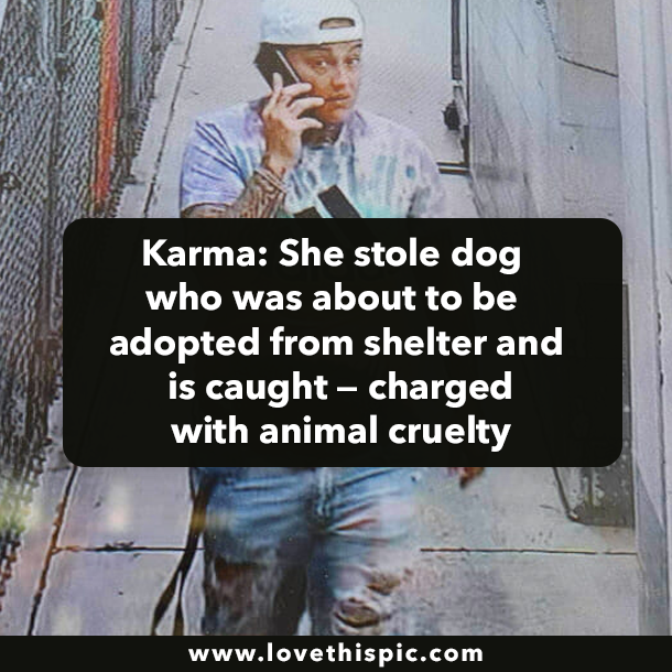 Karma: She steals dog who was about to be adopted from shelter and is caught — charged with animal cruelty