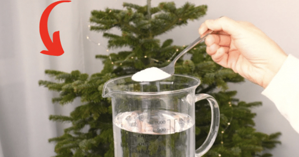 Keep Your Christmas Tree Fresh: No More Shedding Needles! - picture 2