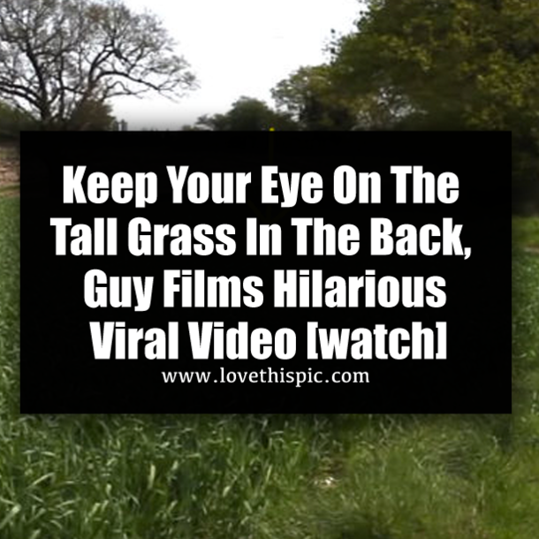 Keep Your Eye On The Tall Grass In The Back, Guy Films Hilarious Viral Video [watch]