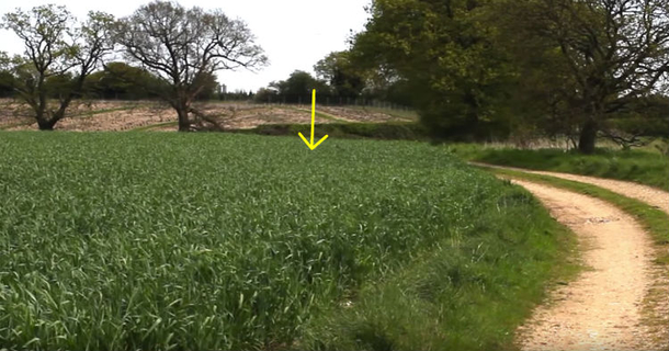 Keep Your Eye On The Tall Grass In The Back, Guy Films Hilarious Viral Video [watch] - picture 2