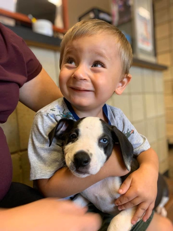 Kid with cleft lip adopts a rescue puppy with the same condition - picture 2