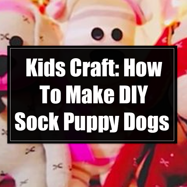 Kids Craft: How To Make DIY Sock Puppy Dogs