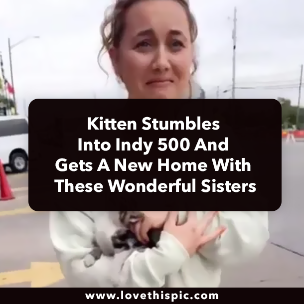 Kitten Stumbles Into Indy 500 And Gets A New Home With These Wonderful Sisters