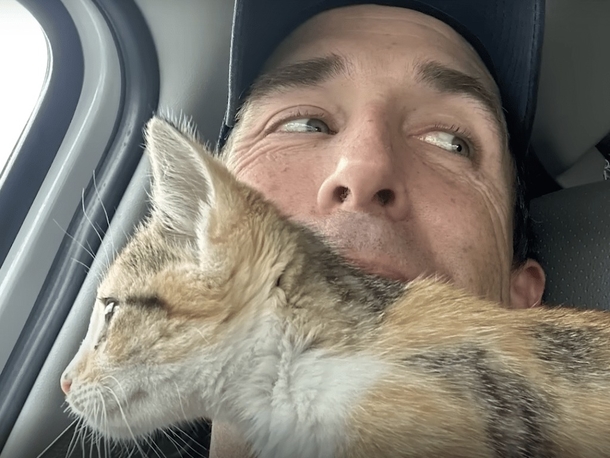 Kitten Thrown Out A Car Window Finds Loving Home With Officer Who Helped Save Her - picture 3