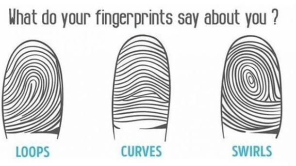 Know What Your Fingerprint Pattern Says About Your Personality - picture 2