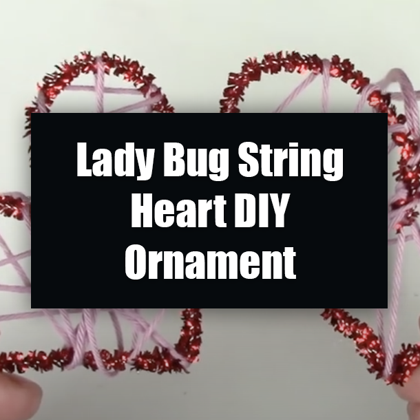Lady Bug String Heart DIY Ornament