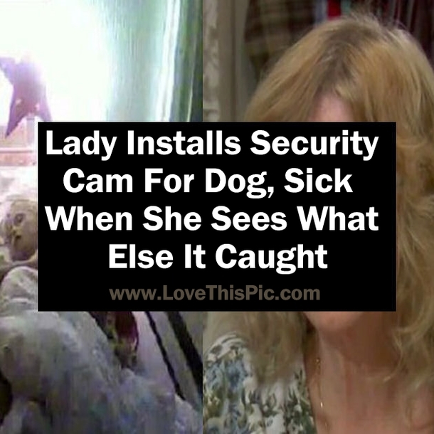 Lady Installs Security Cam For Dog, Sick When She Sees What Else It Caught