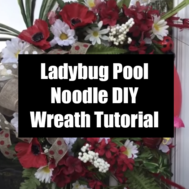 Ladybug Pool Noodle DIY Wreath Tutorial
