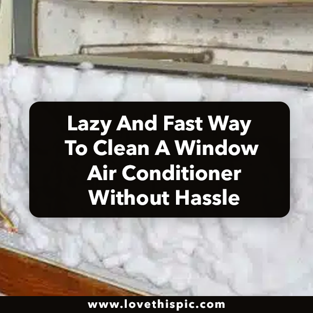 Lasy And Fast Way To Clean A Window Air Conditioner Without Hassle