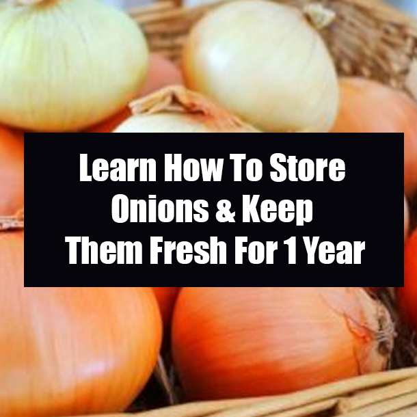 Learn How To Store Onions & Keep Them Fresh For 1 Year
