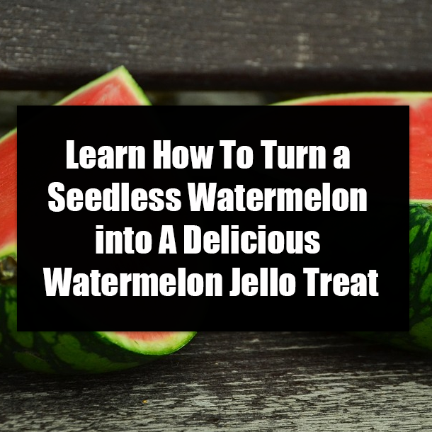 Learn How To Turn a Seedless Watermelon Into A Delicious Watermelon Jello Treat