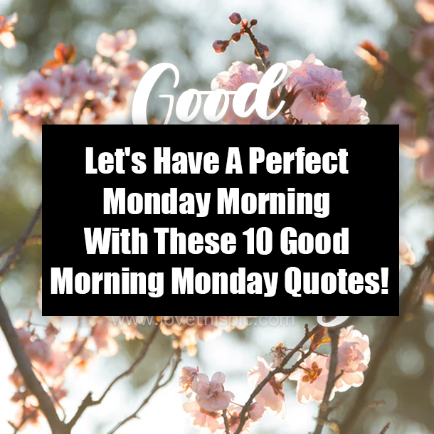 Let's Have A Perfect Monday Morning With These 10 Good Morning Monday Quotes!