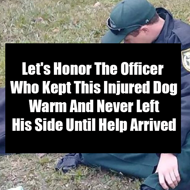 Let's Honor The Officer Who Kept This Injured Dog Warm And Never Left His Side Until Help Arrived