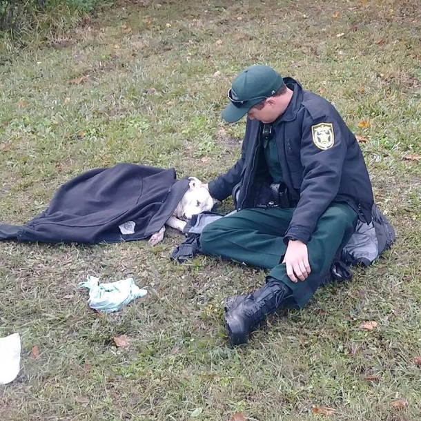 Let's Honor The Officer Who Kept This Injured Dog Warm And Never Left His Side Until Help Arrived - picture 3