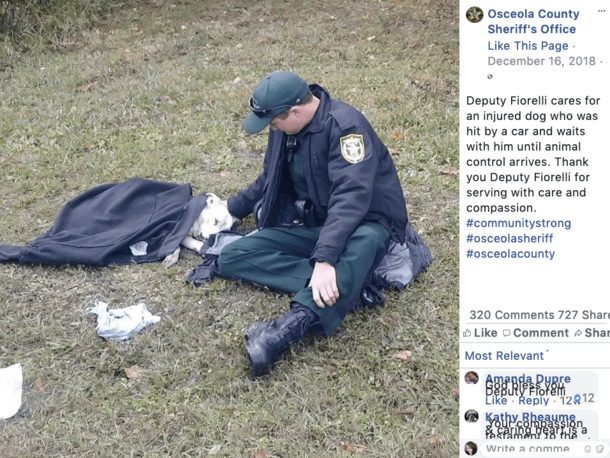 Let's Honor The Officer Who Kept This Injured Dog Warm And Never Left His Side Until Help Arrived - picture 5