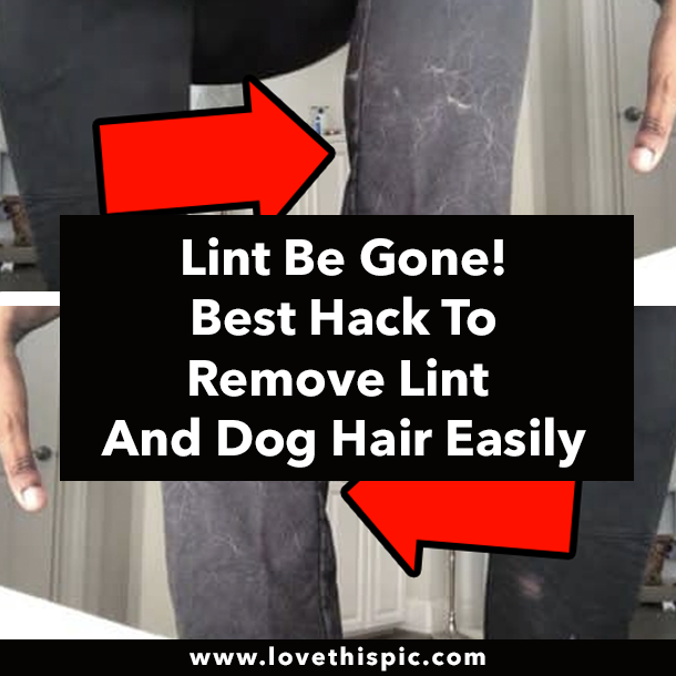 Lint Be Gone! Best Hack To Remove Lint And Dog Hair Easily